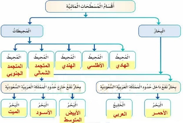 خريطة مفاهيمية لأقسام المسطحات المائية